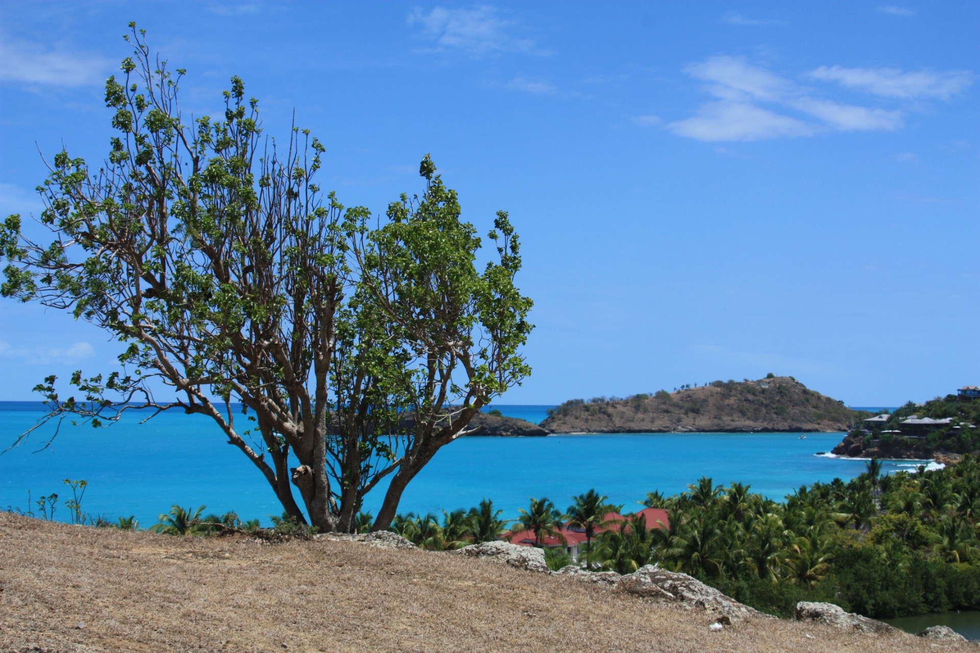 Ilha de Antígua