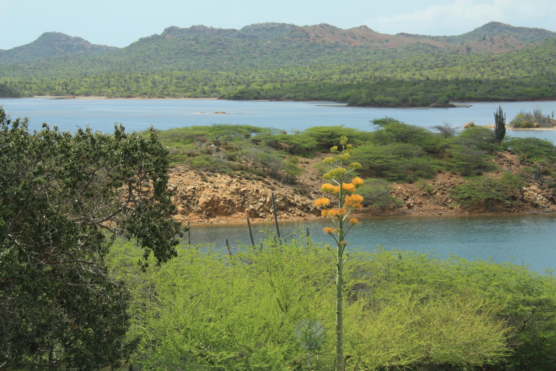 Ilha de Bonaire