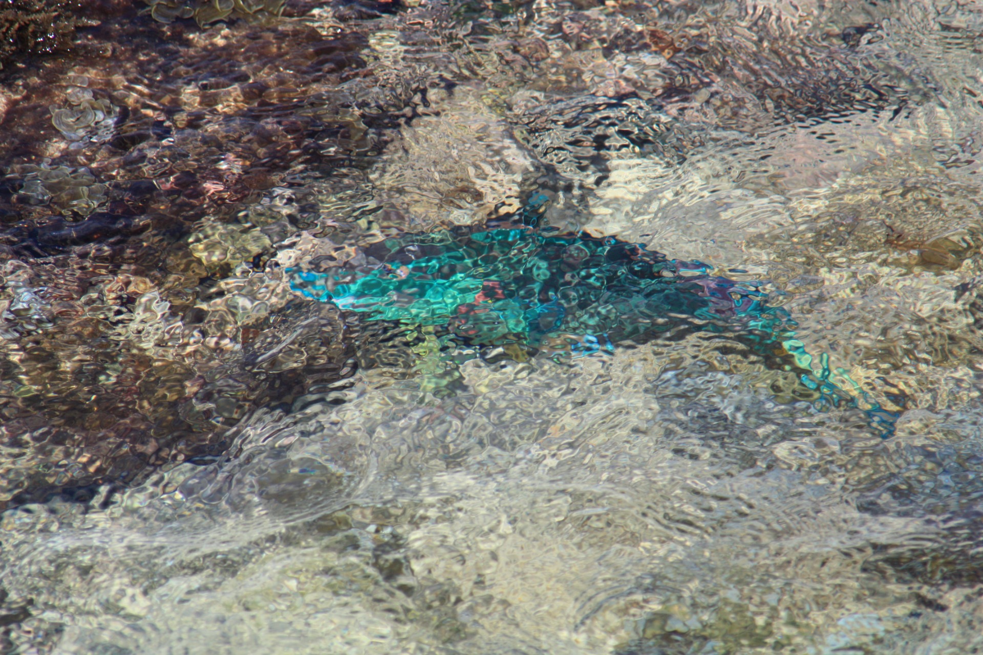 Ilha de Bonaire