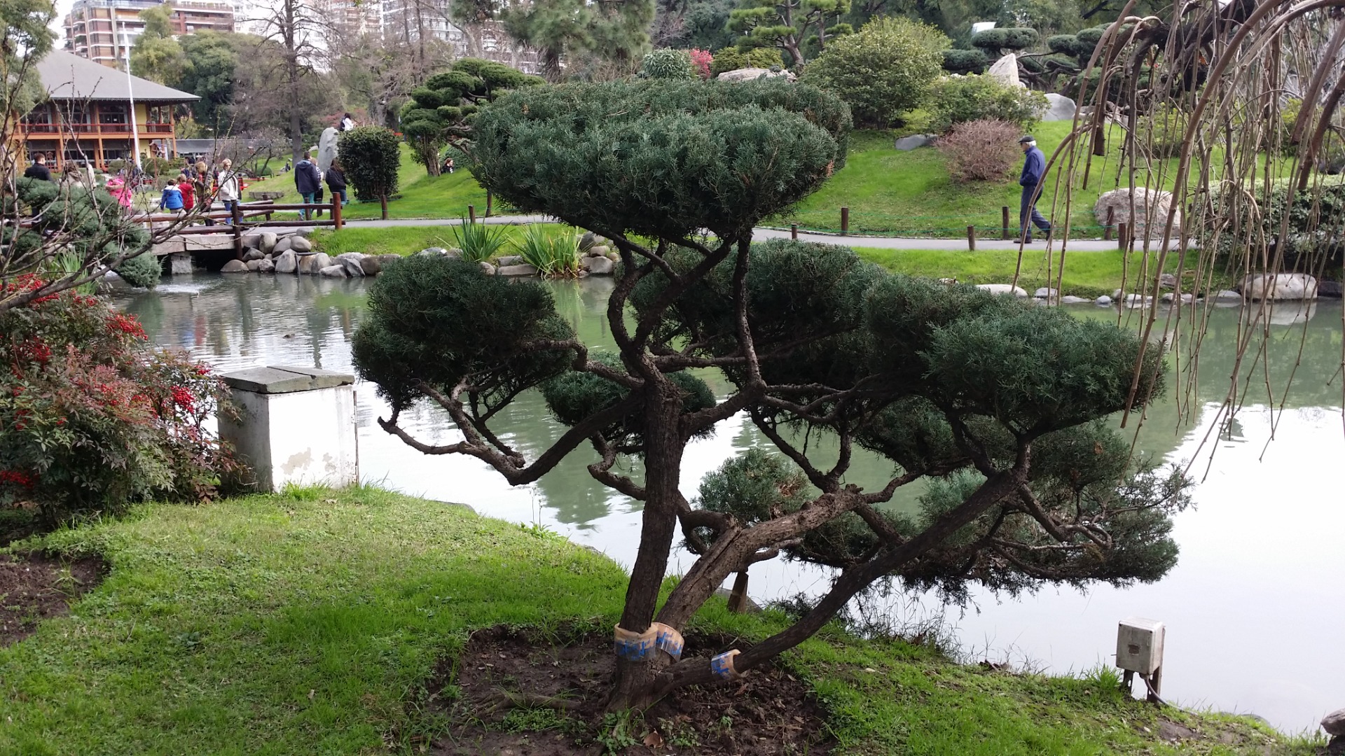 Jardim japonês em Buenos Aires