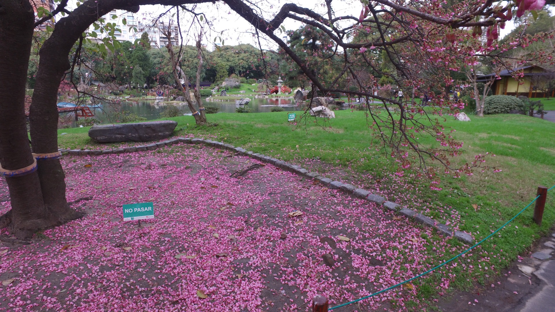 Jardim japonês em Buenos Aires