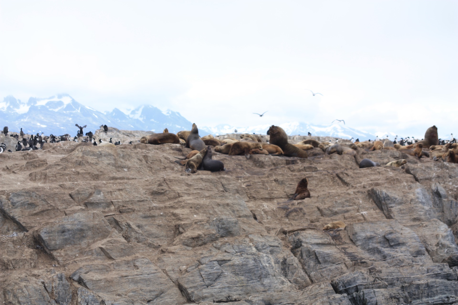 Ushuaia - Terra del fim del mundo
