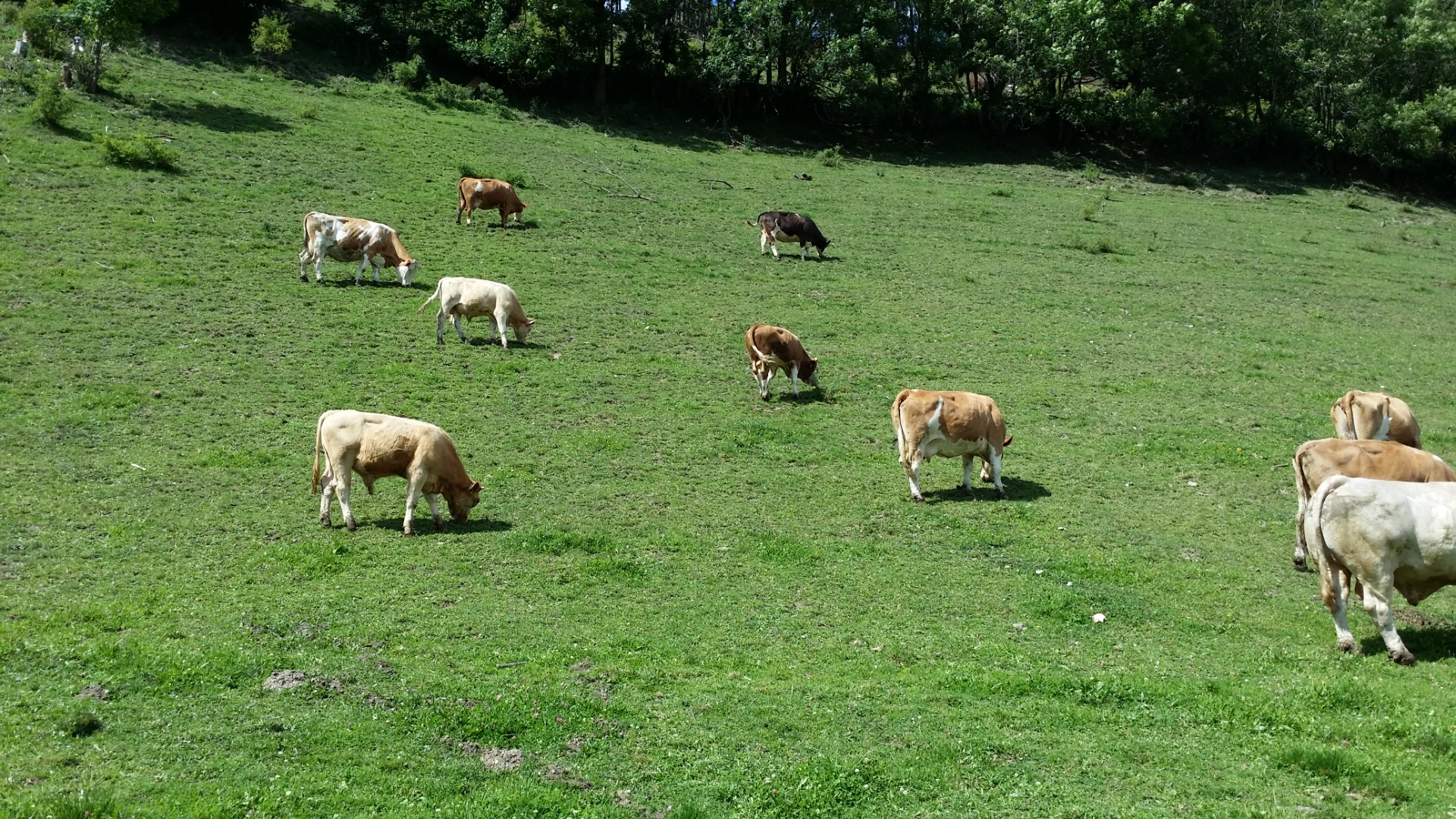 Paisagens de Ljubliana a Innsbruck