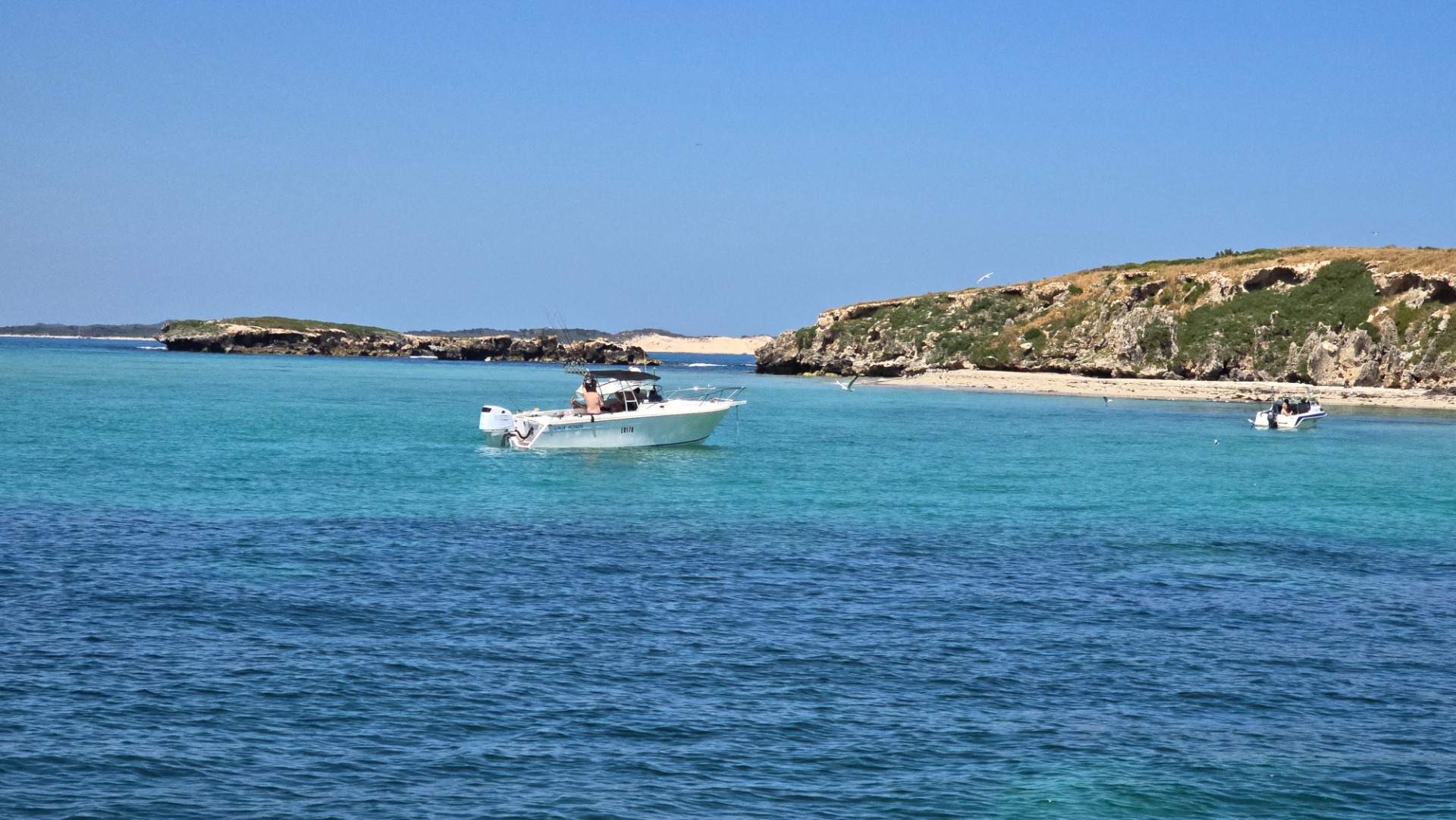 Carnac Island - Western Australia