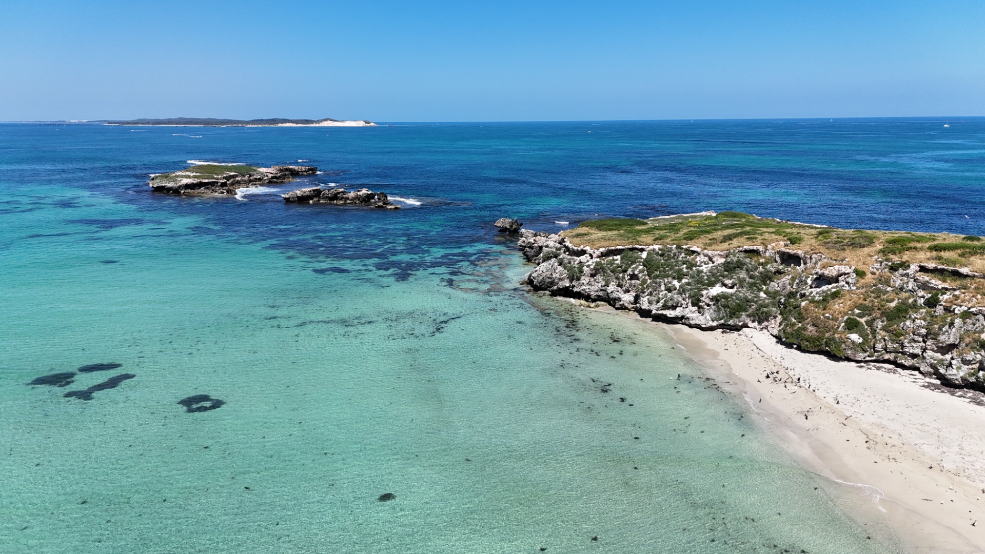 Carnac Island - Western Australia