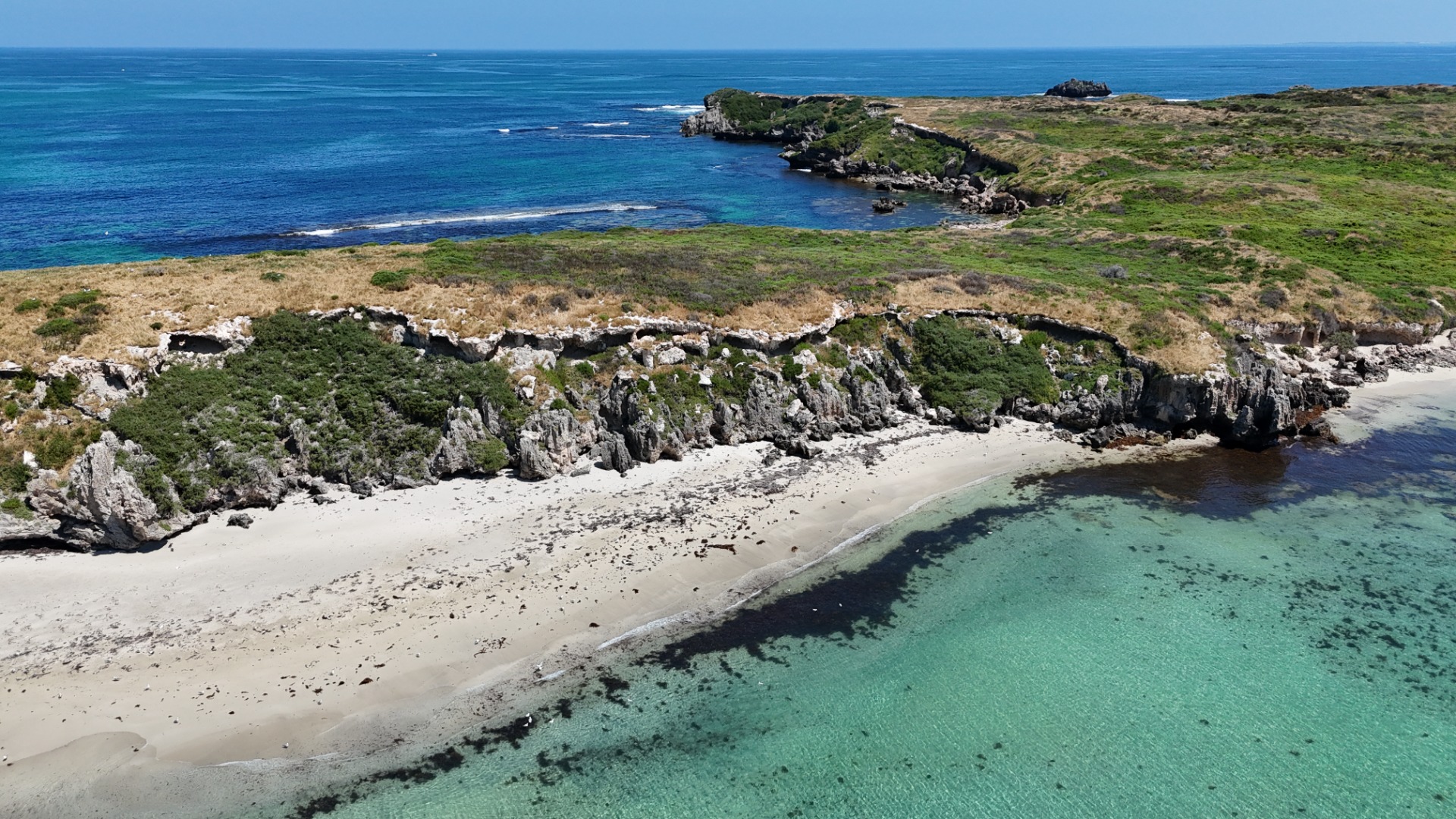 Carnac Island - Western Australia