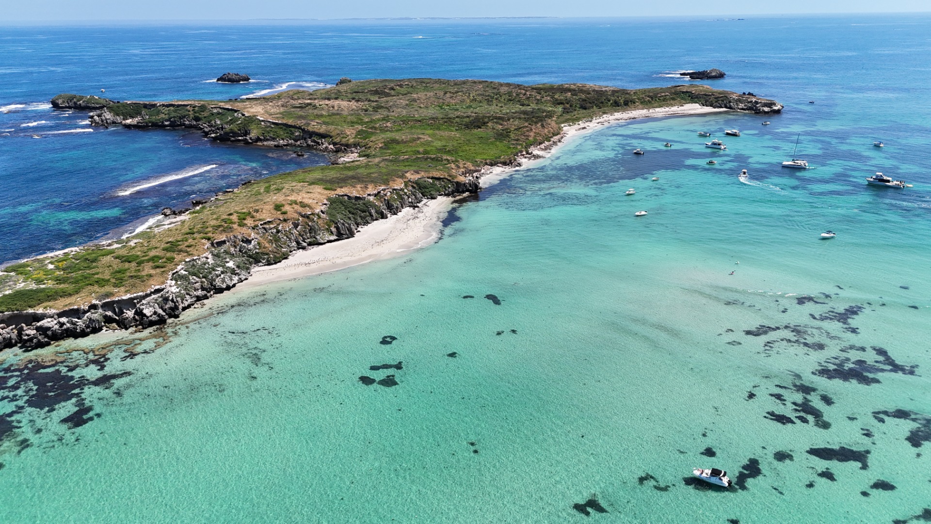 Carnac Island - Western Australia
