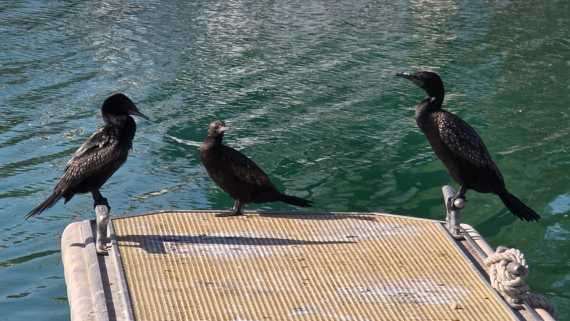 Perth - Western Australia