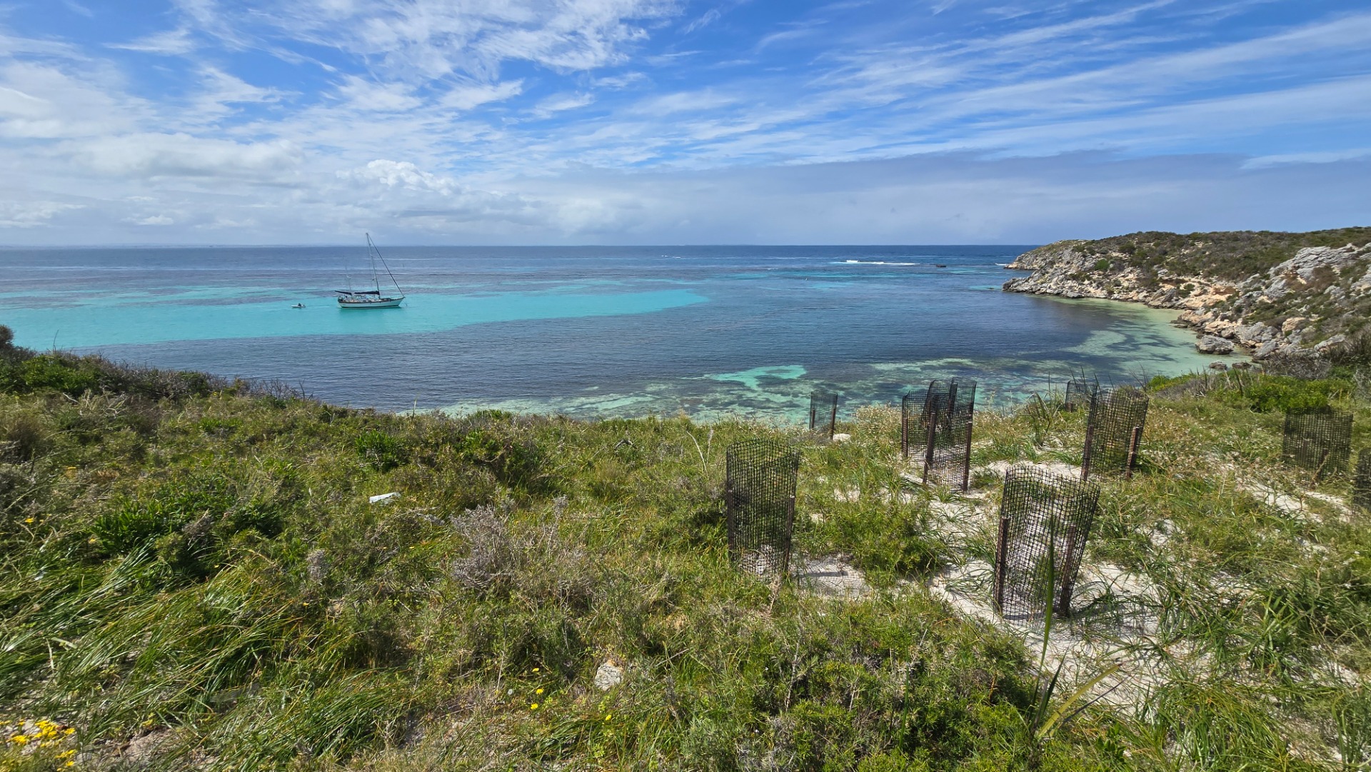 Rosttnet island - Western Australia