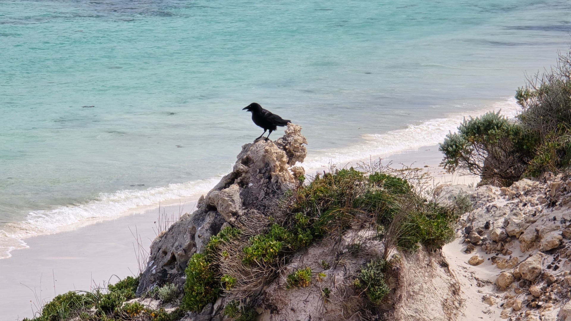 Rosttnet island - Western Australia