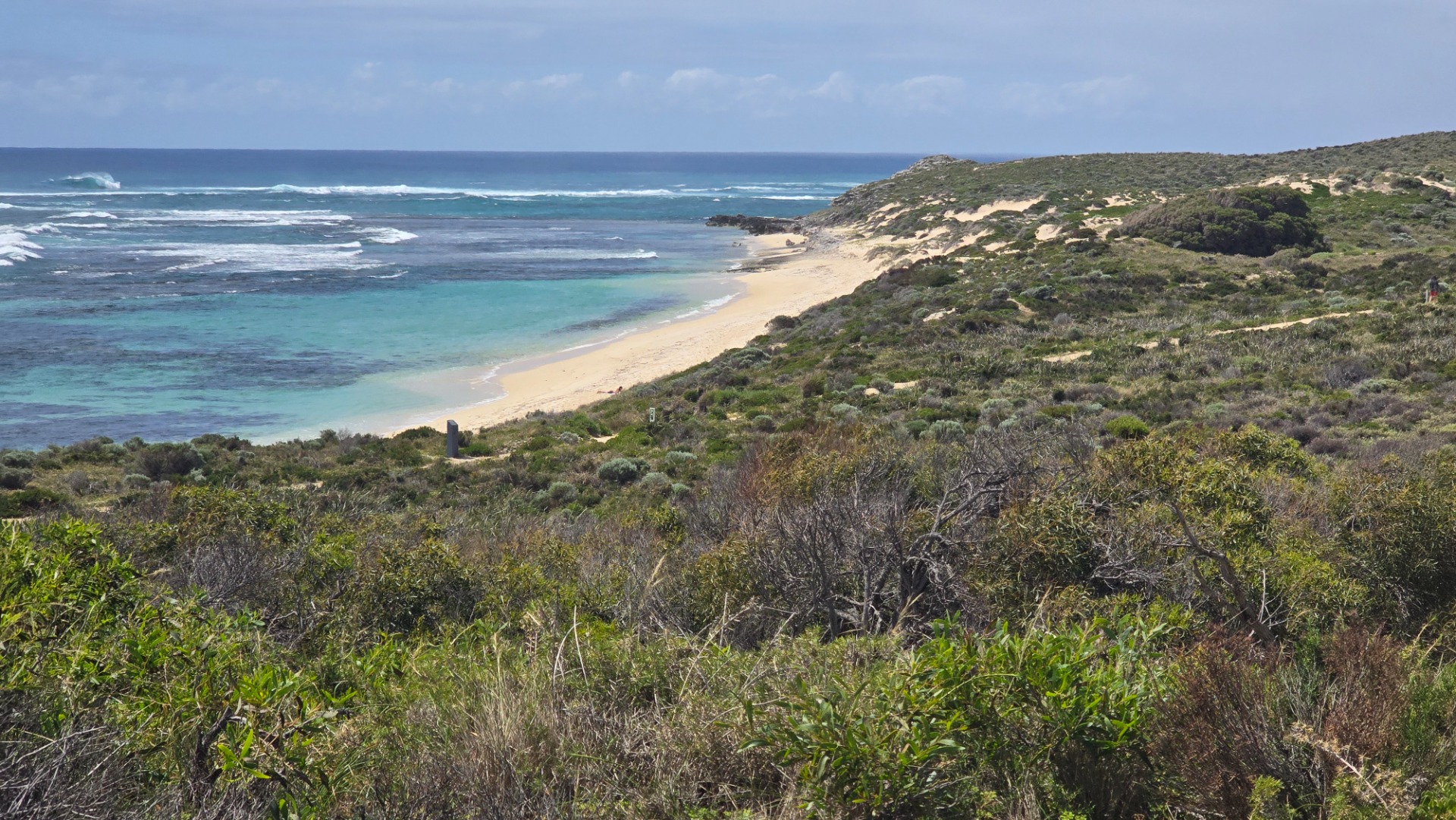 Rosttnet island - Western Australia