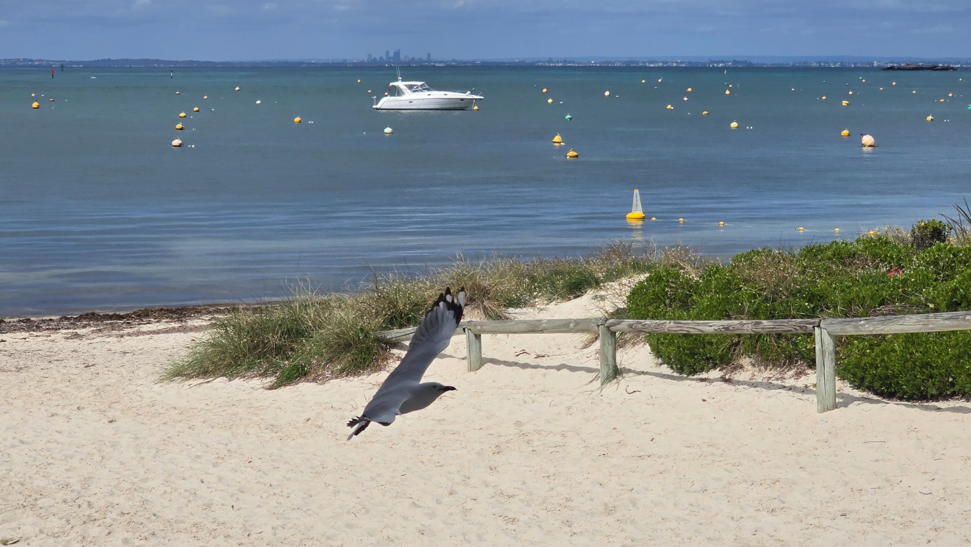 Rosttnet island - Western Australia