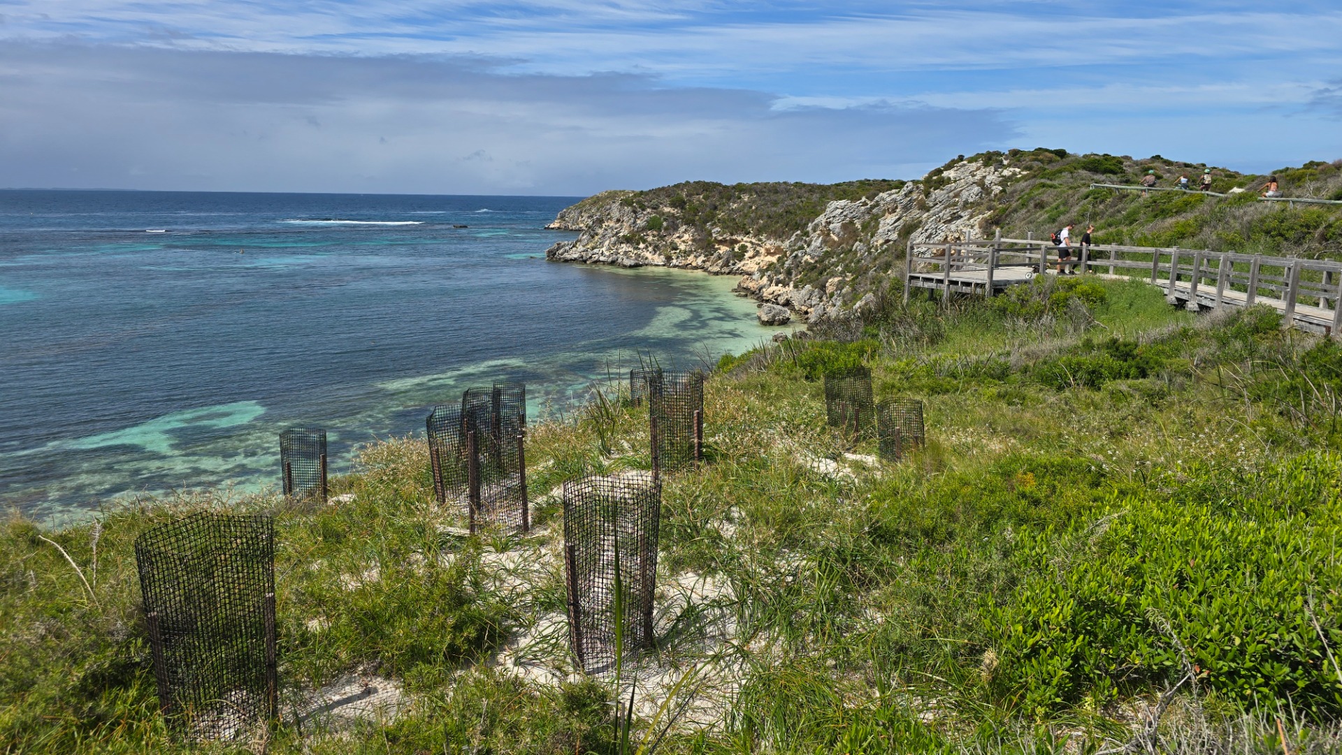 Rosttnet island - Western Australia
