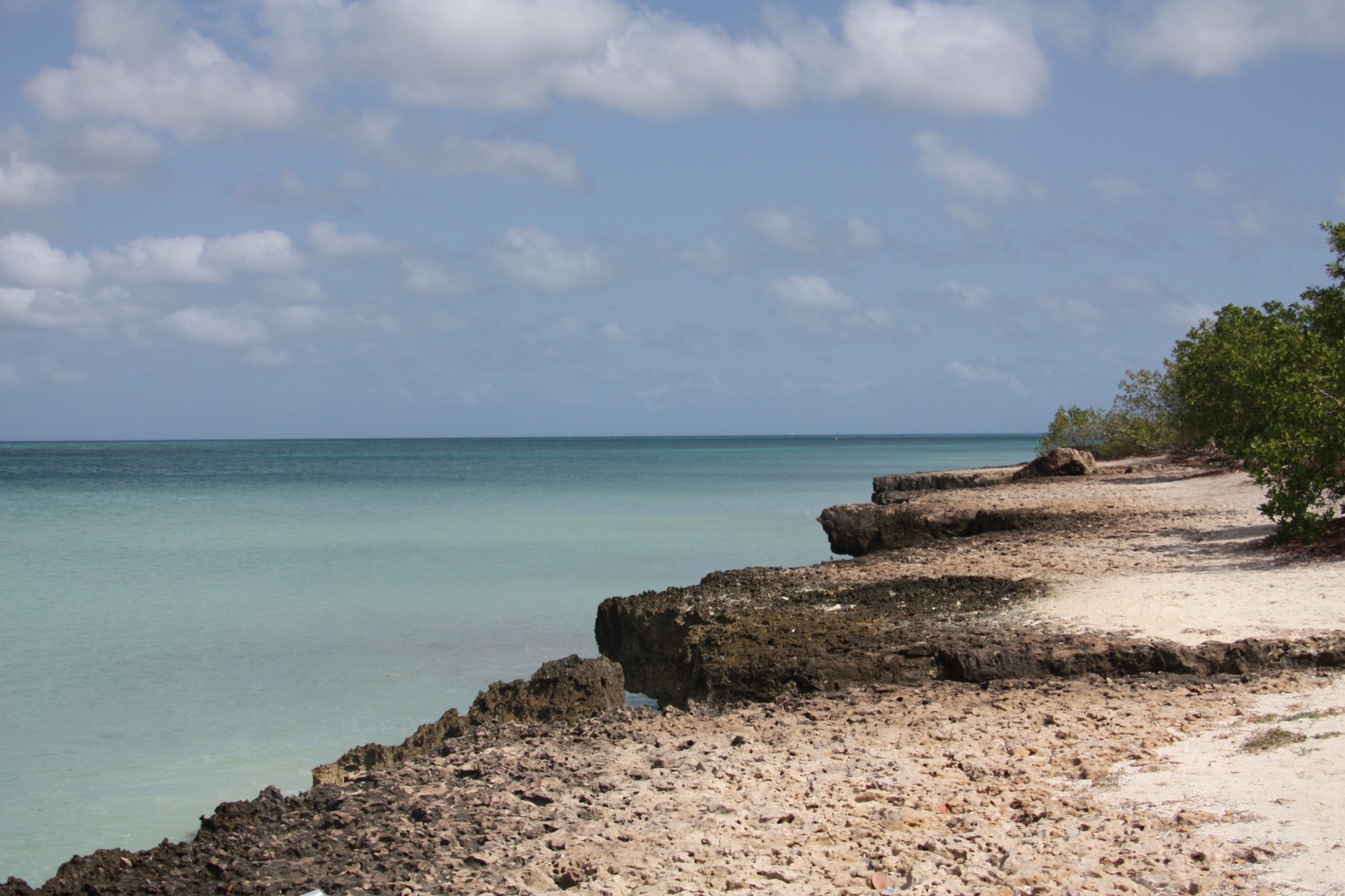 Ilha de Aruba