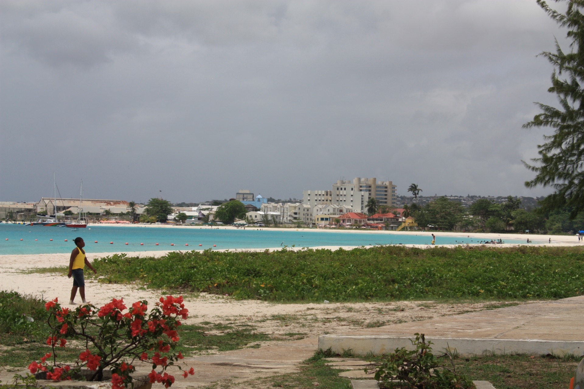 Ilha de Barbados