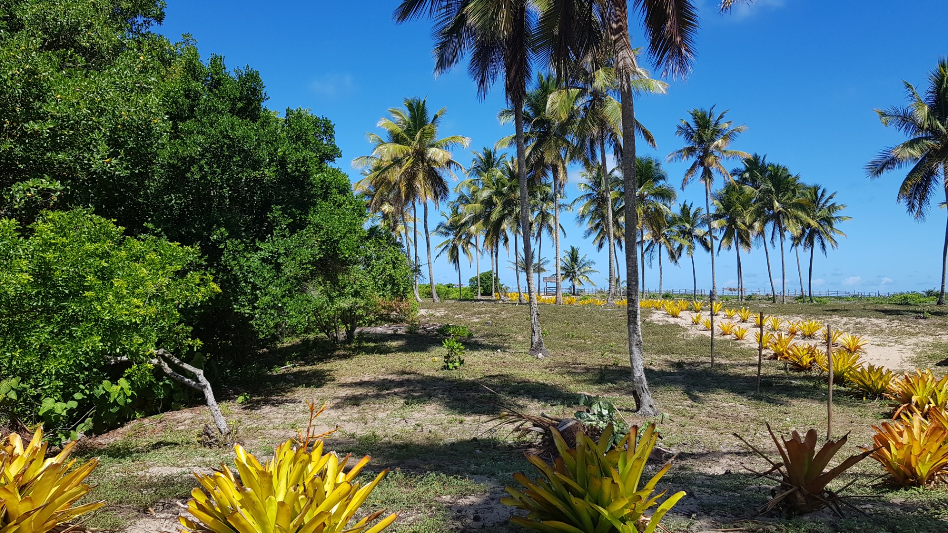 Praias de Mogiquiçaba