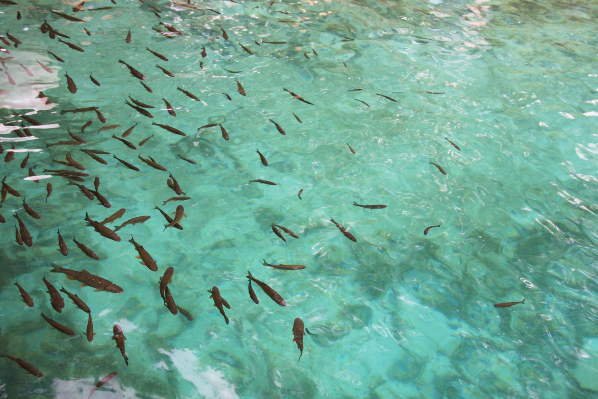 Parque natural Plitvice