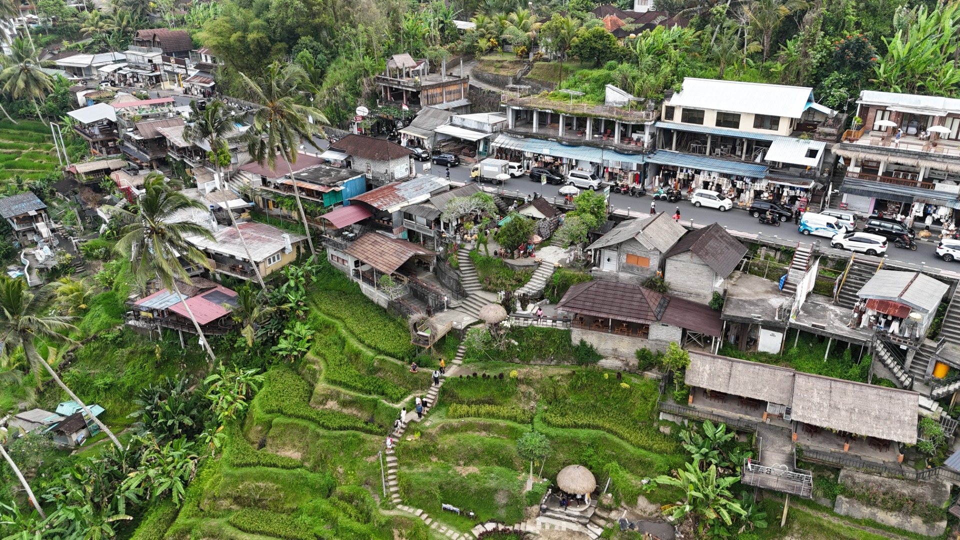 Plantações de arroz de Ubud