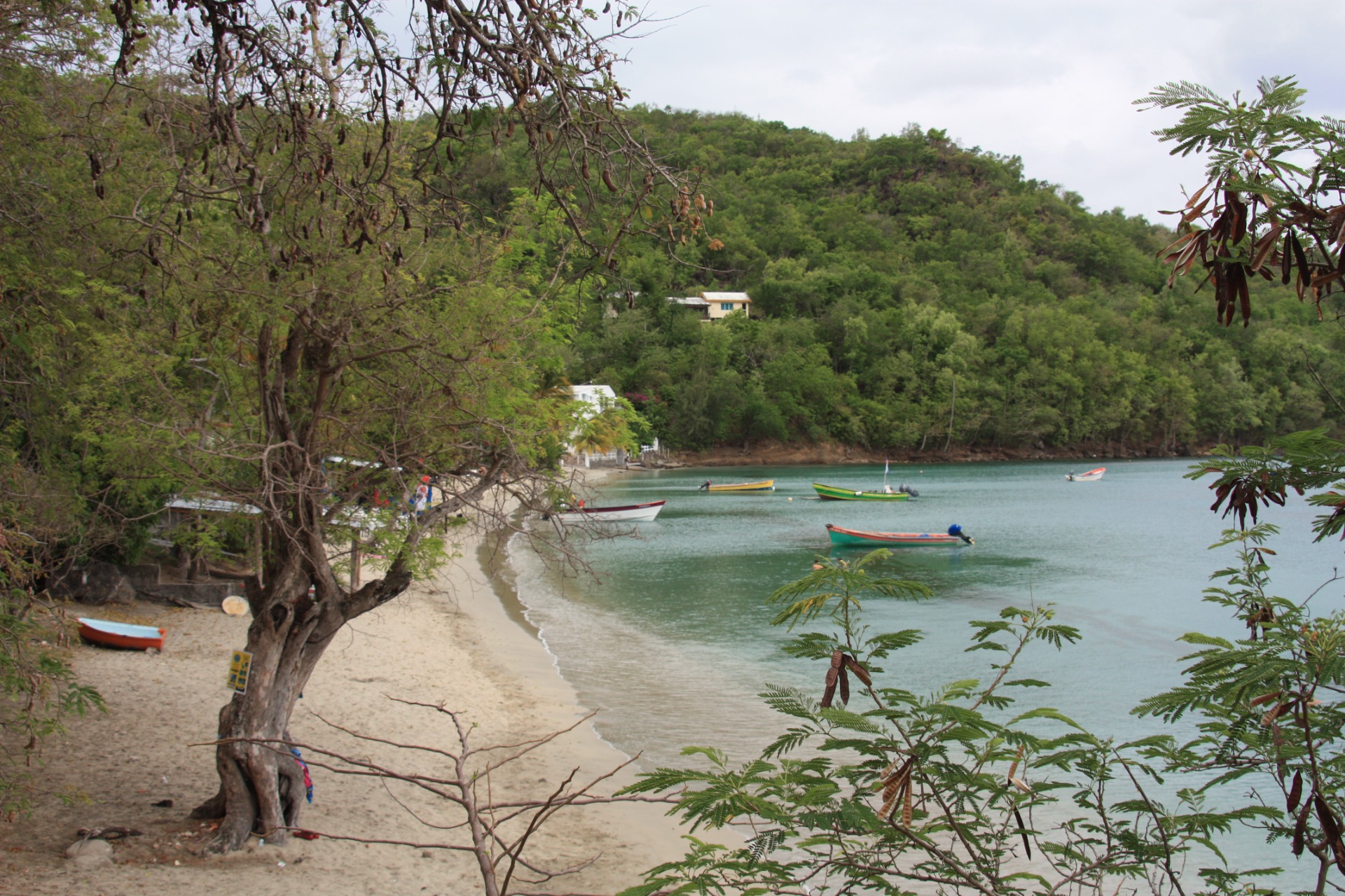 Ilha de Martinique