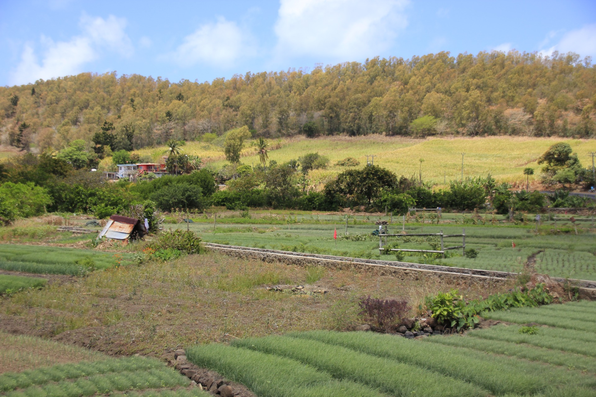 Ilhas Mauricias