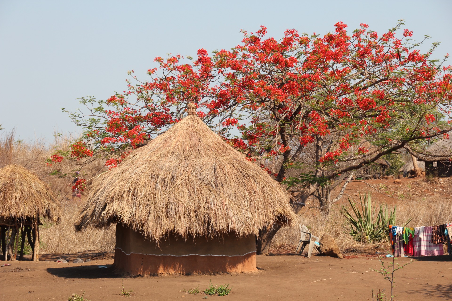 Paisagens ao longo da estrada de Vilanculos à Beira