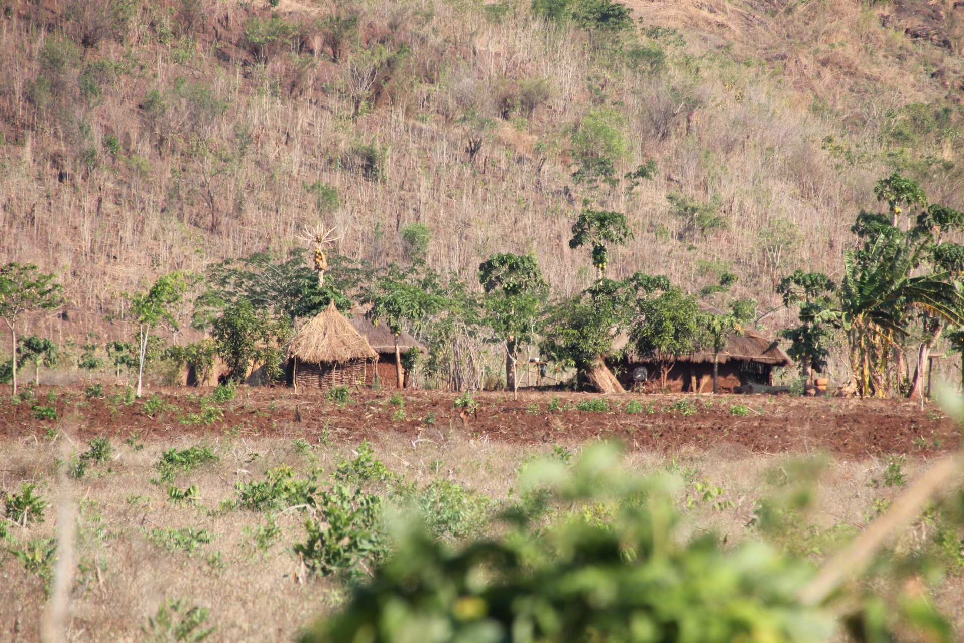 Paisagens ao longo da estrada de Vilanculos à Beira
