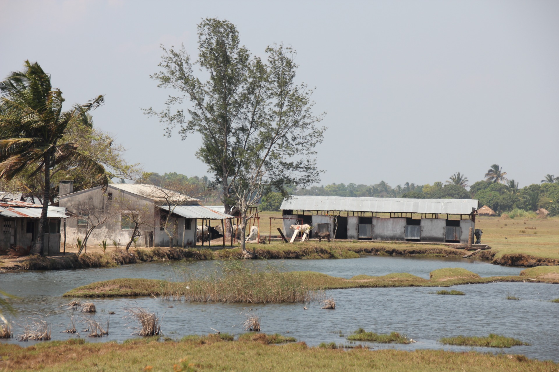 Quelimane. Moçambique