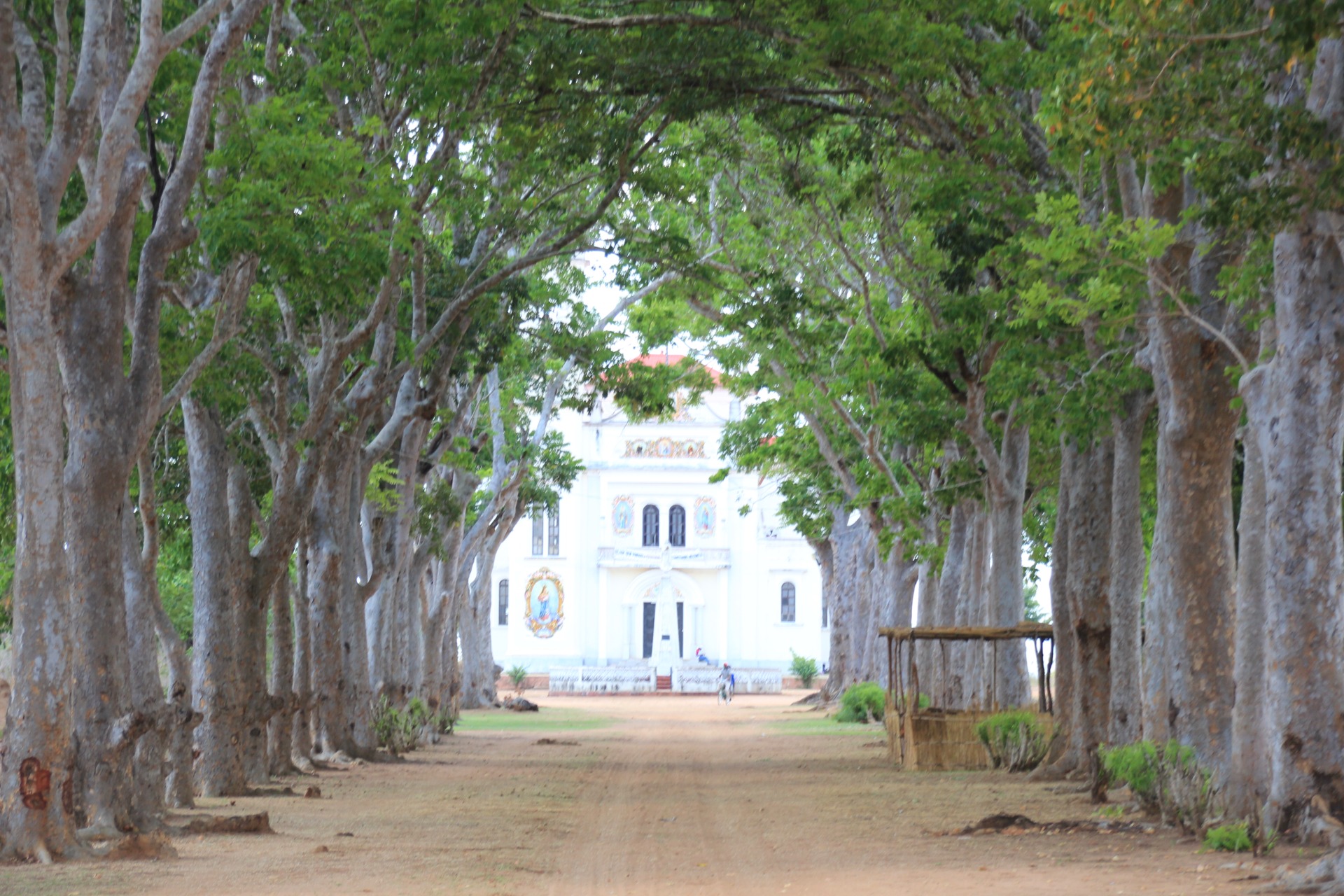 Paisagens ao longo da estrada de Nampula a Nacala