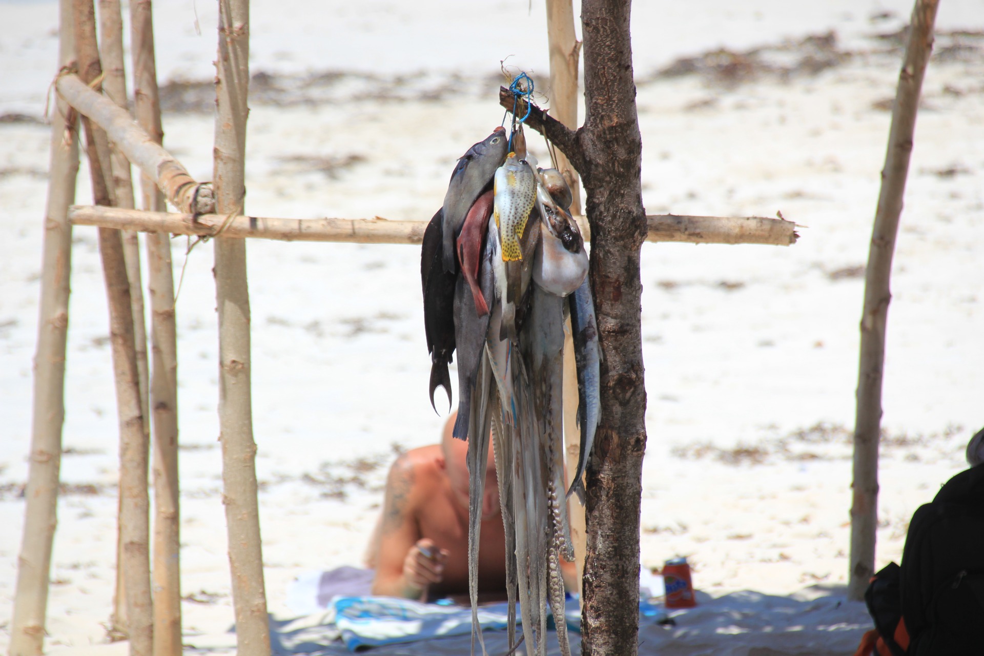 Praia das Chocas. Moçambique