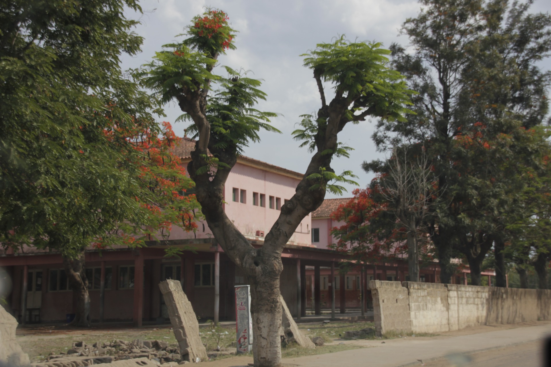 Chokwé, Moçambique