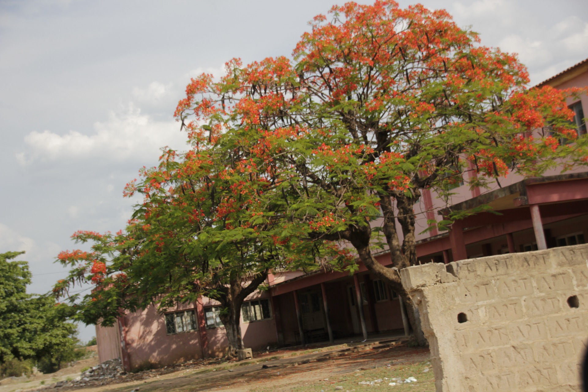 Chokwé, Moçambique