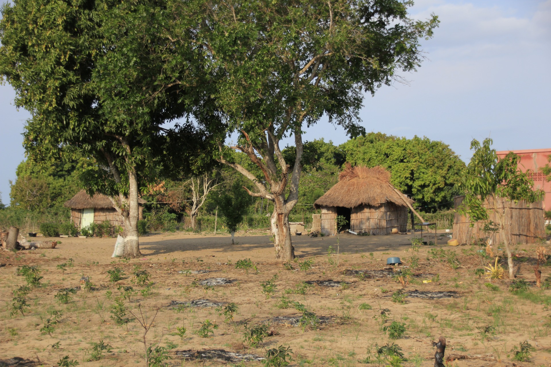Paisagens ao longo da estrada de Maputo a Bilene