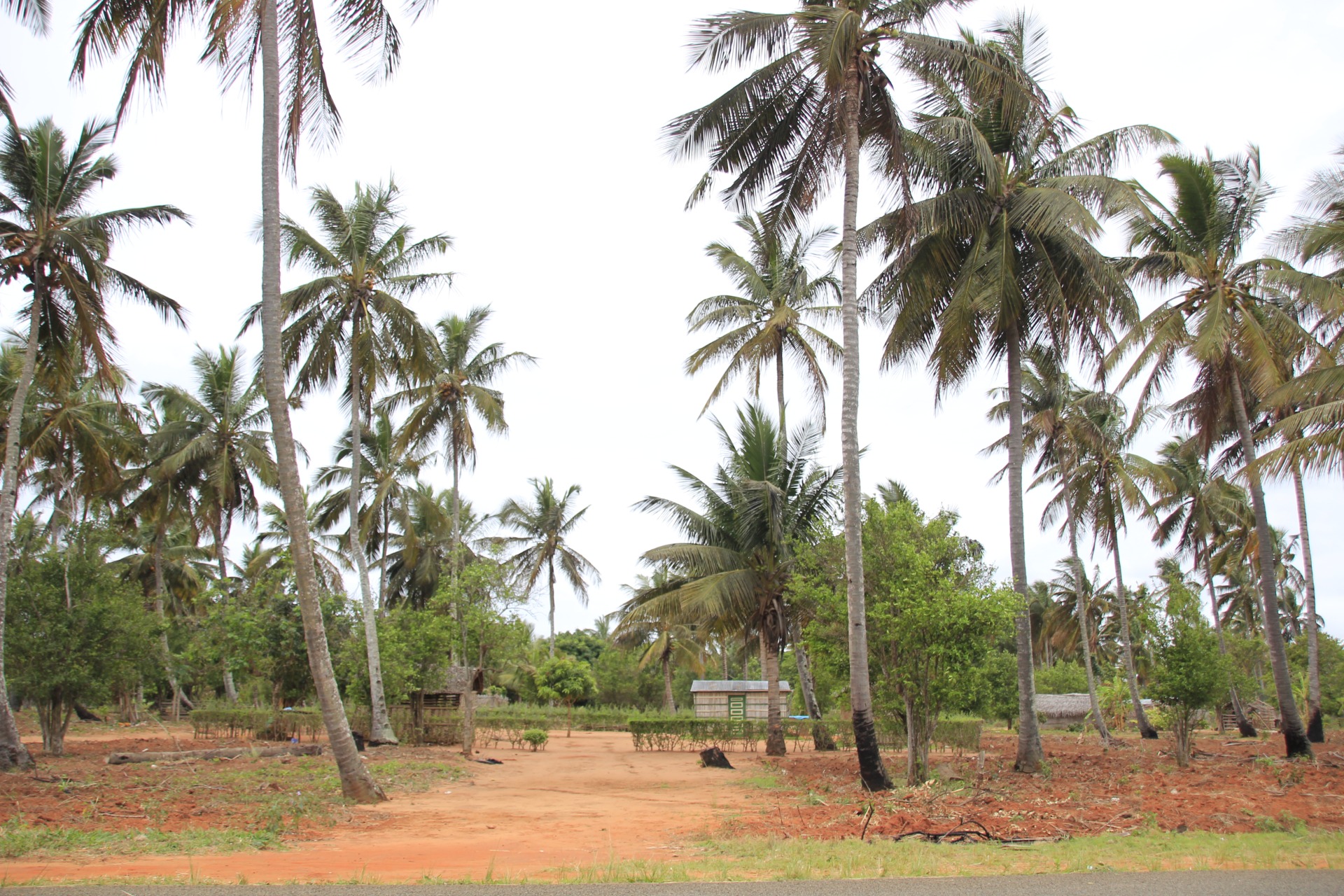 Paisagens ao longo da estrada de Bilene a Inhambane