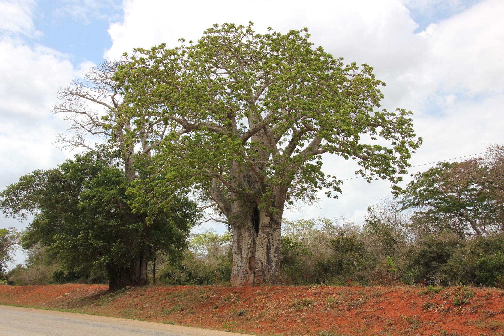 Paisagens ao longo da estrada de Inhambane a Vilanculos