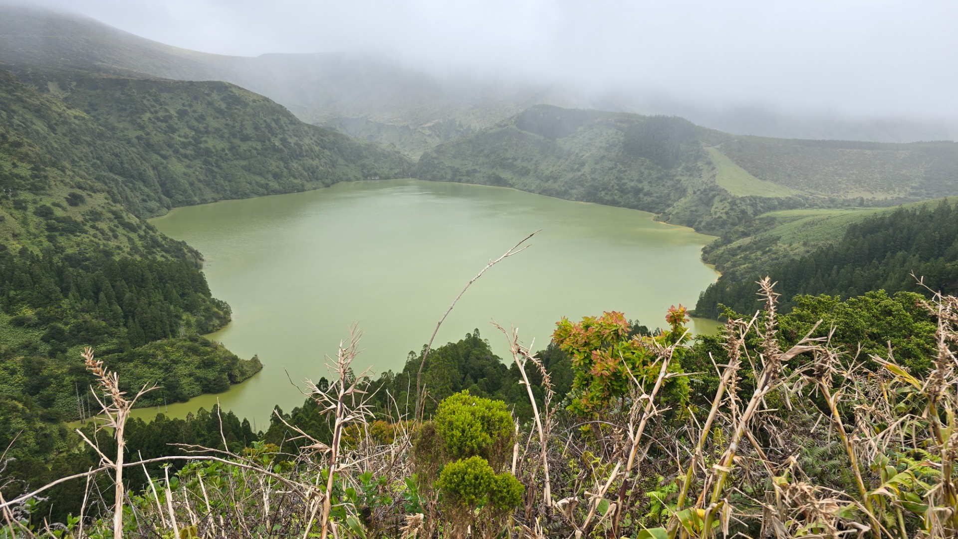 Ilha das Flores. Açores