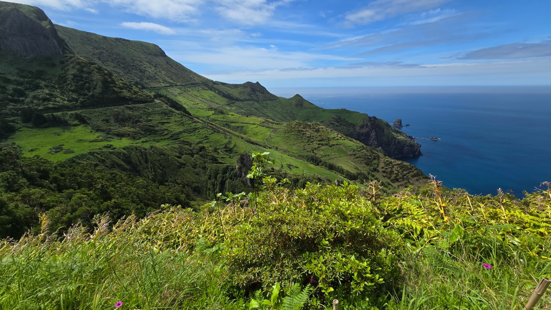Ilha das Flores. Açores