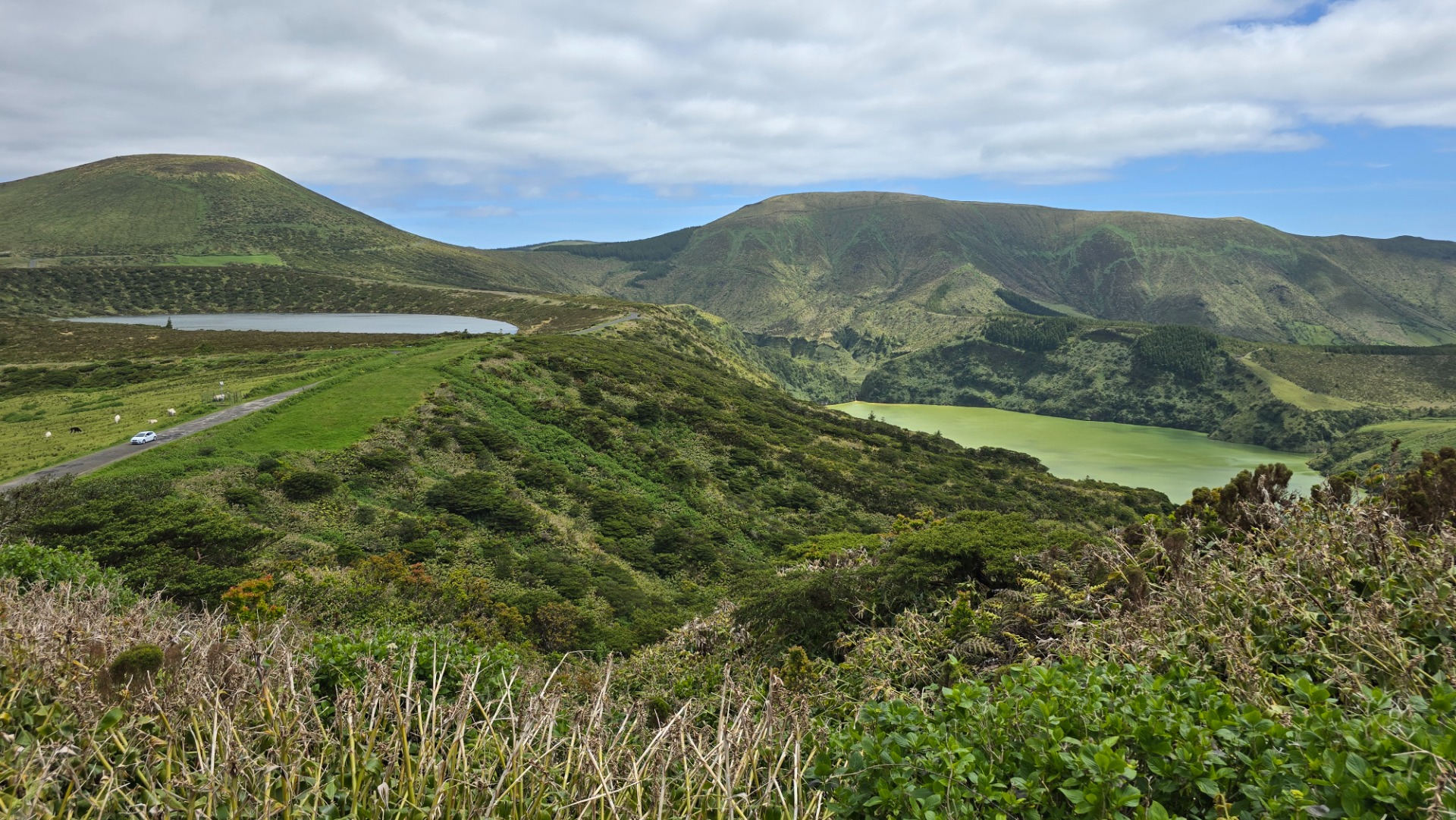 Ilha das Flores. Açores