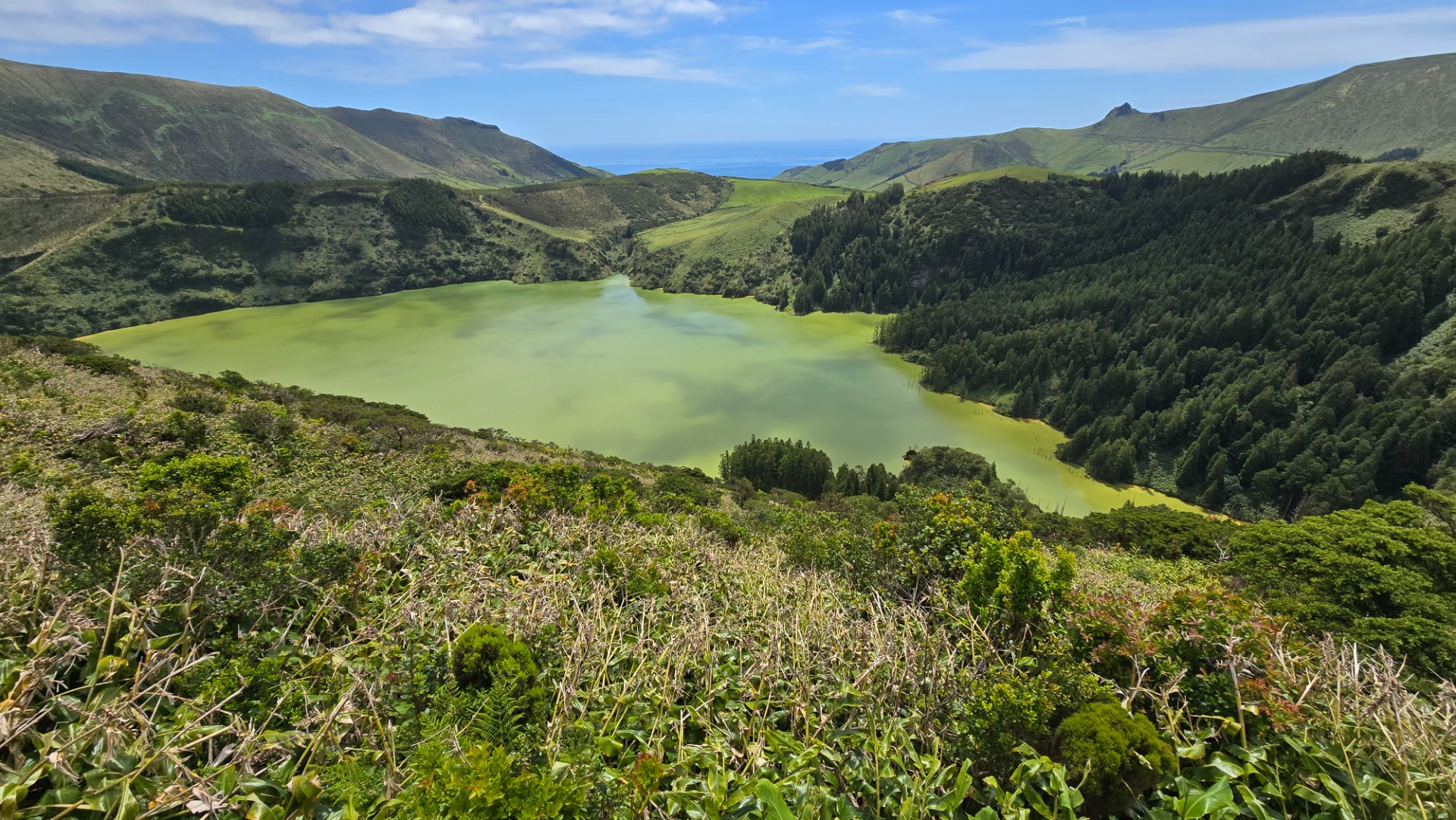 Ilha das Flores. Açores