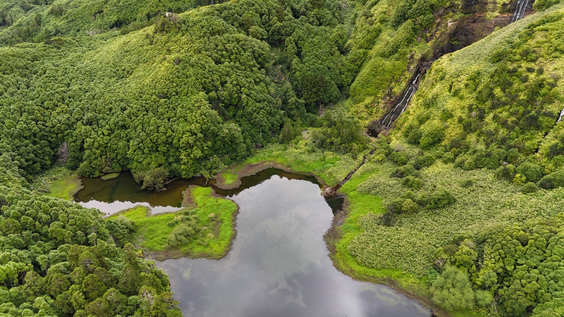 Ilha das Flores. Açores