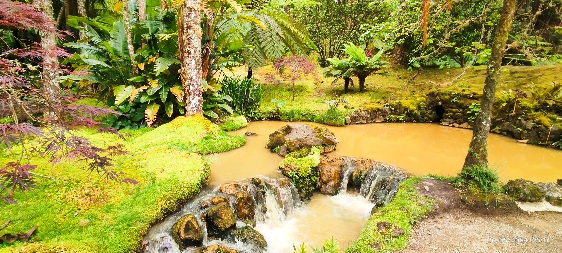 Parque Terra Nostra. Ilha de São Miguel
