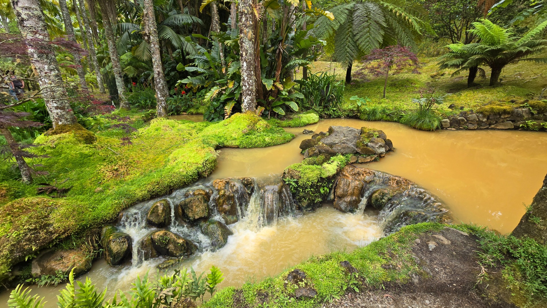 Parque Terra Nostra. Ilha de São Miguel