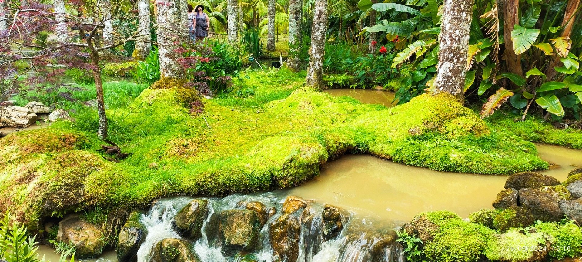 Parque Terra Nostra. Ilha de São Miguel