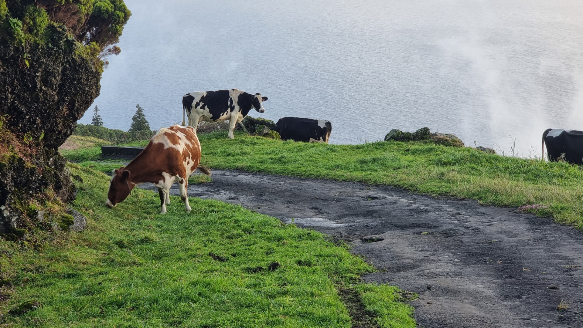 Ilha do Pico (Açores)