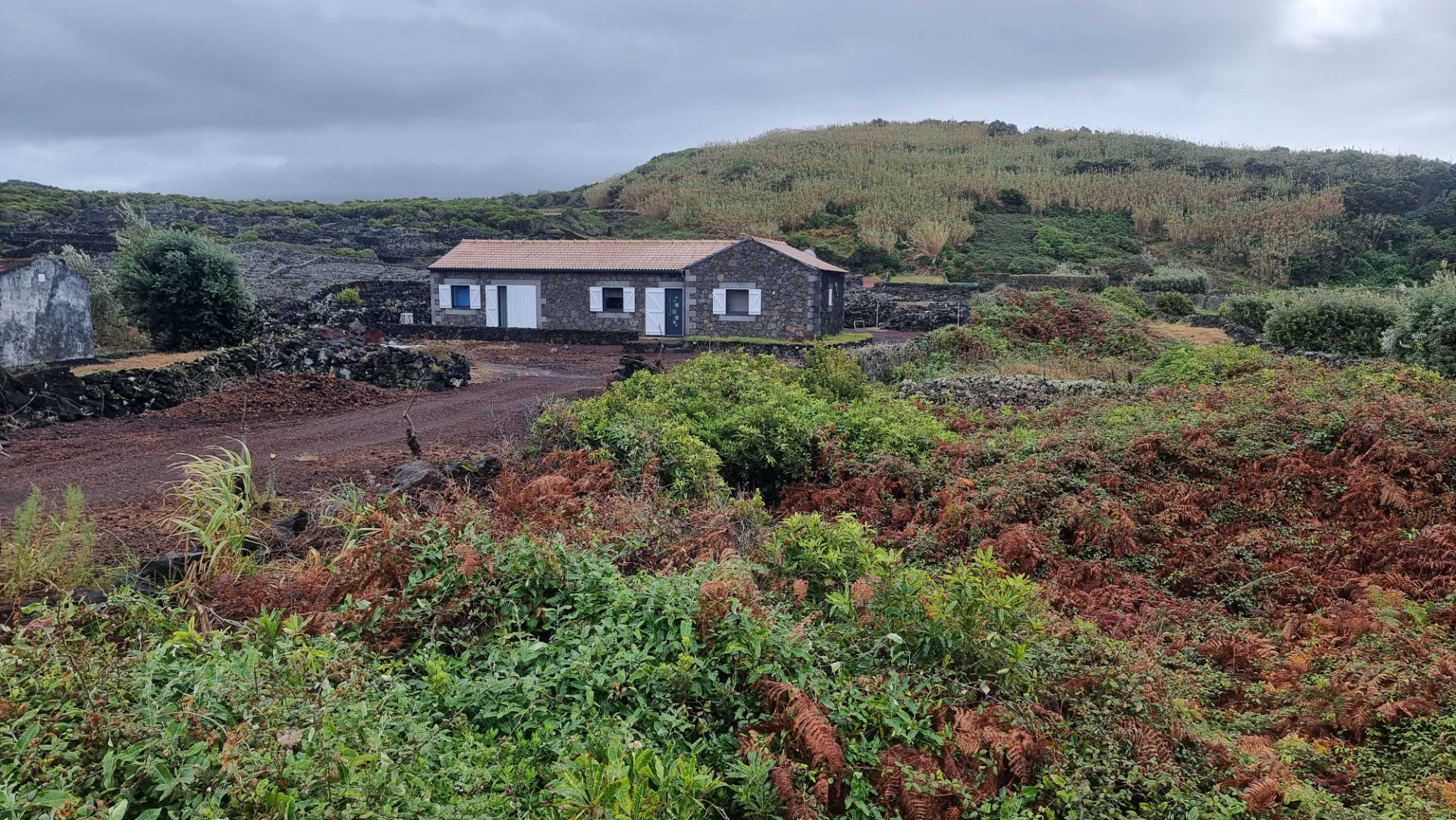 Ilha do Pico (Açores)