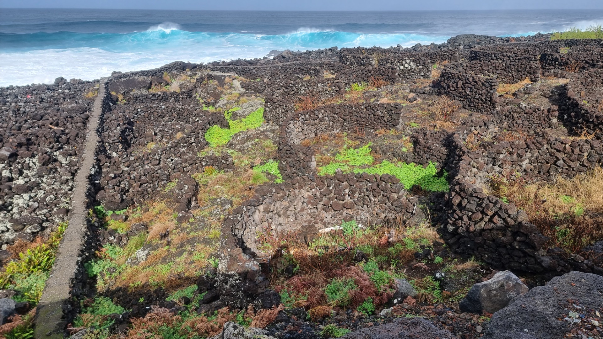 Ilha do Pico (Açores)