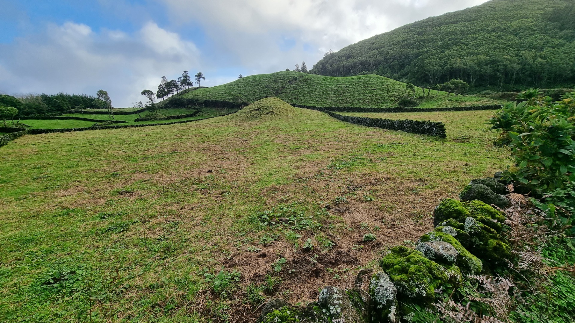 Ilha do Pico (Açores)