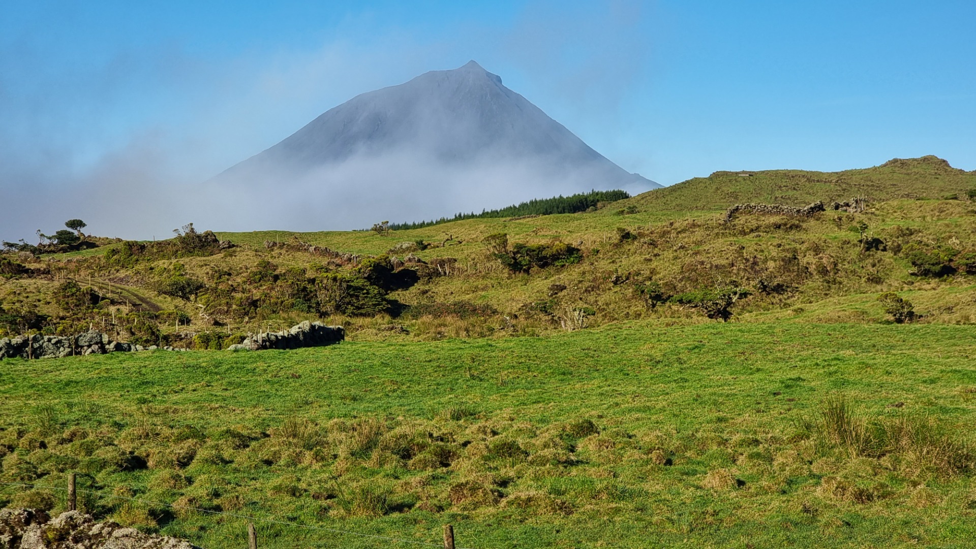 Ilha do Pico (Açores)
