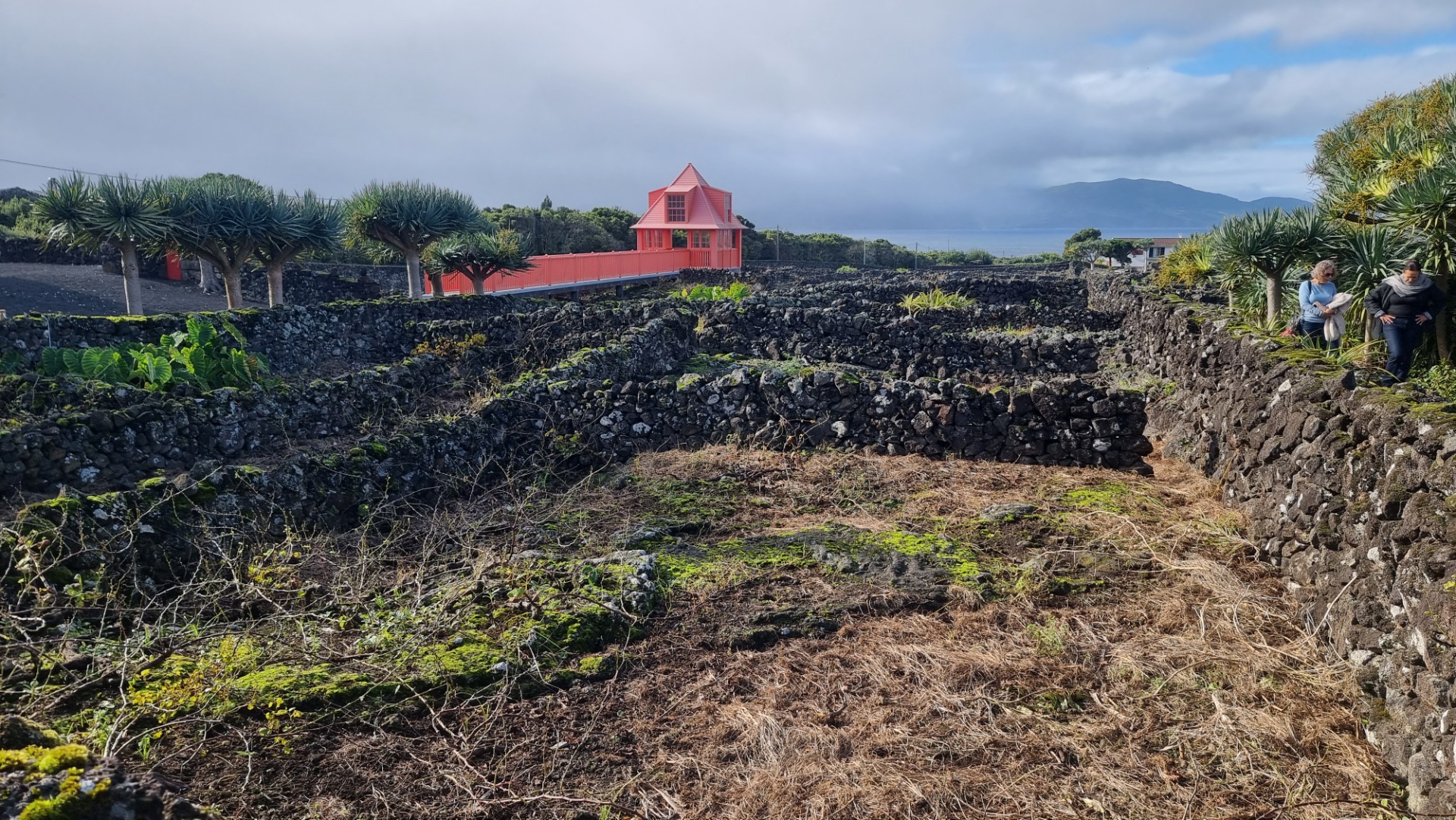 Ilha do Pico (Açores)