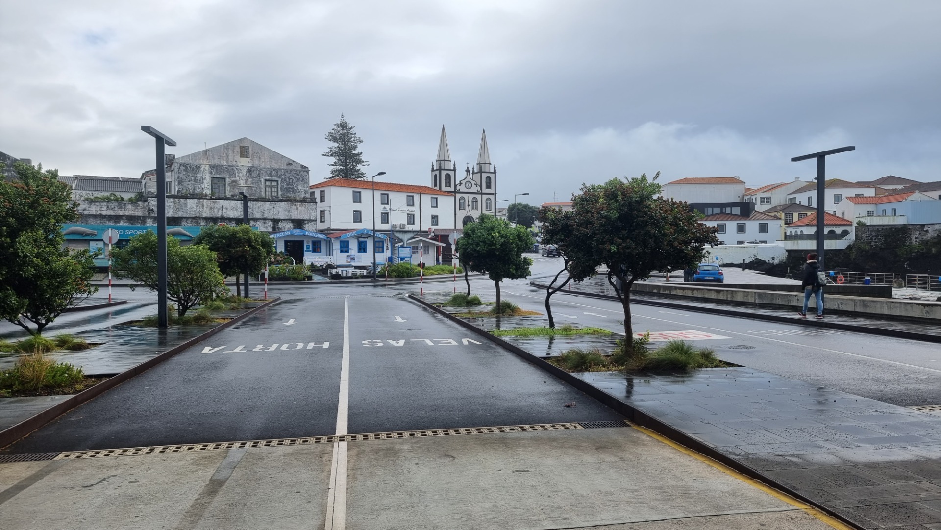 Ilha do Pico (Açores)