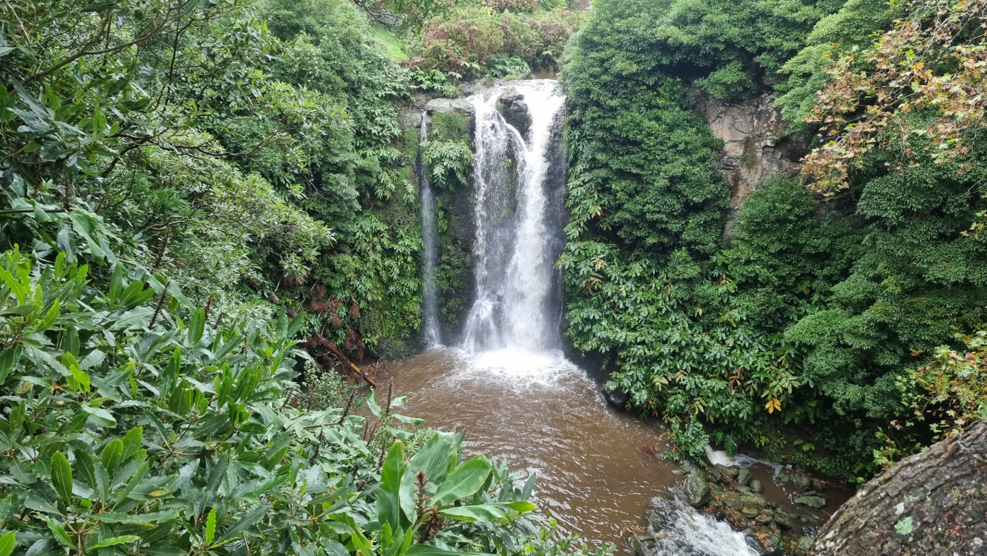 Cascata do Cruzal (Ilha de São Jorge)